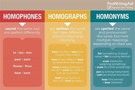 Infographic What Are Homophones Homographs And Homonyms