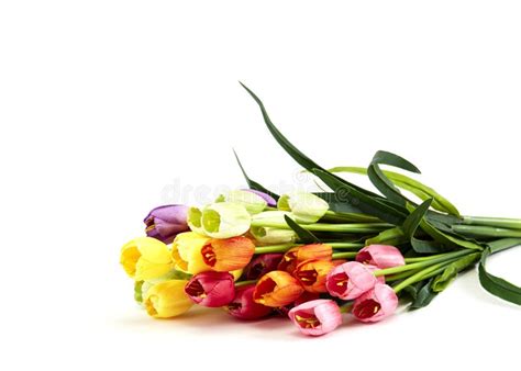 Bouquet Colorful Spring Tulips Flowers Stock Photo Image Of Flower