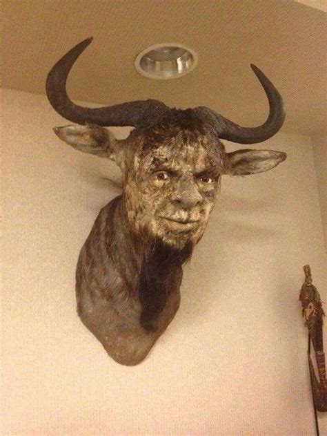 Bad Taxidermy Cursed Image Know Your Meme
