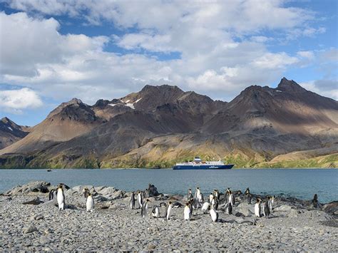 Antarctica South Georgia And The Falkland Islands Albatros Expeditions
