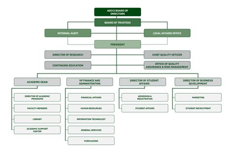 Organization Chart Abu Dhabi School Of Management