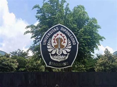 Biaya registrasi administrasi calon mahasiswa melalui jalur ujian mandiri yang mahal lainnya adalah fakultas ekonomi dan bisnis yang mencapai rp 30,3 juta. Penerimaan Mahasiswa Baru Undip Jalur Mandiri Masih Dibuka