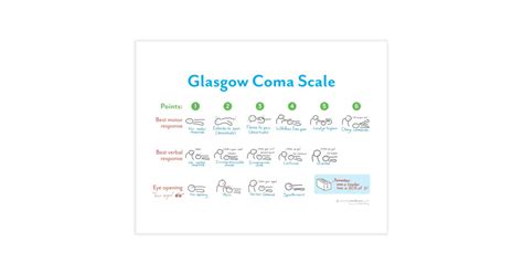 E4 s4 m6 = gcs 14. Glasgow Coma Scale (GCS) Print | Sketchy Medicine Shop