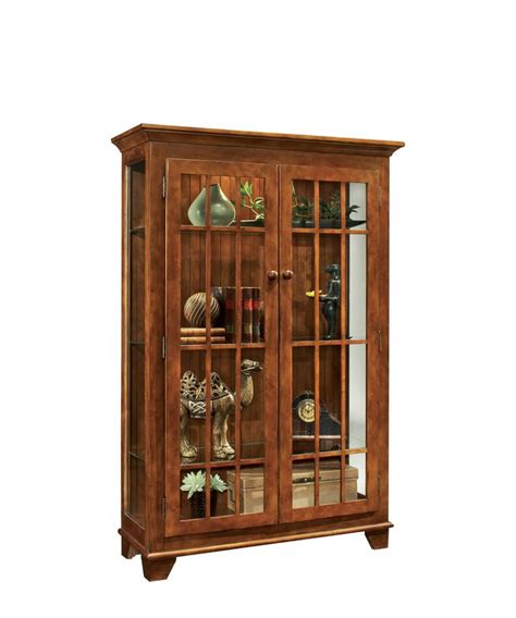 Modern curio cabinet in black finish. Shelia Lighted Curio Cabinet | Curio cabinet, Glass ...