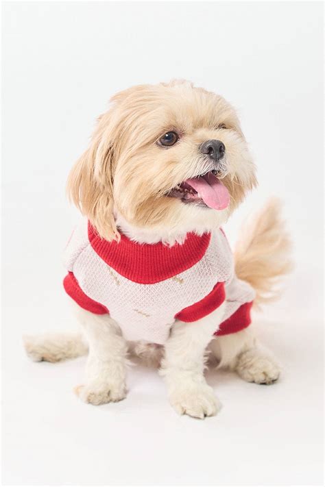 Buzo Navideño Reno para Mascotas Be Pets | De Prati Tienda Online