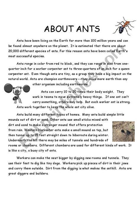 About Ants Esl Worksheet By Sakline