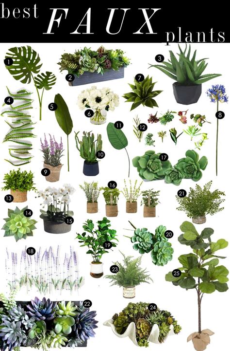 6 secrets to pulling off fake plants and flowers at home. Best Faux Plants | Kiki's List | Faux plants, Fake plants ...
