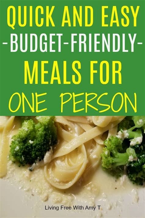 Quick And Easy Budget Friendly Dinner Recipes For One Person Healthy