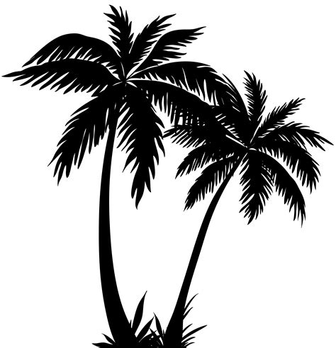 Palm leaf print, black and white photography, abstract tropical leaf, summer art, tropical palm leaves, 8 x 10 inches, unframed. Palm Trees Silhouette PNG Clip Art Image | Palm tree clip art, Palm tree drawing, Palm tree sticker