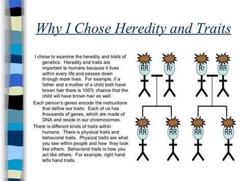 Heredity And Traits