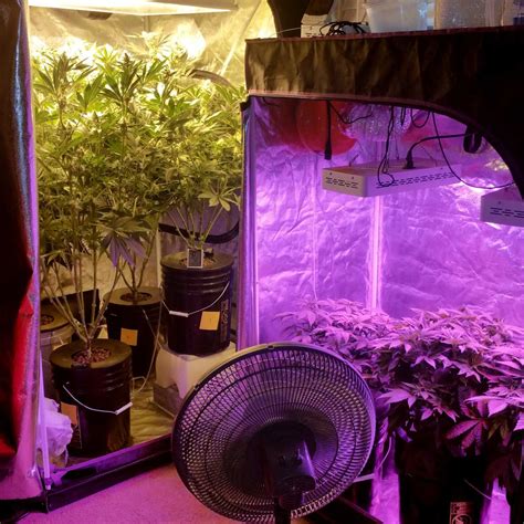 Your budget also has to cover fertilizers, filters, grow tents, soil, nutrients, and various other supplies. Complete Guide to Grow Tents for Cannabis | Grow Weed Easy