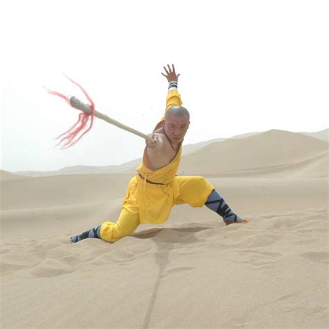 Kung Fu Spear For Shaolin Wushu And Chinese Kung Fu Enso Martial