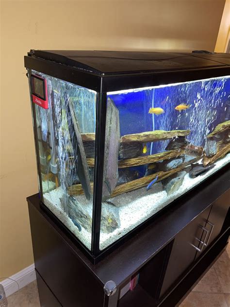 Top Fin 55 Gallon Aquarium Fish Tank Aquarium Only For Sale In Boca