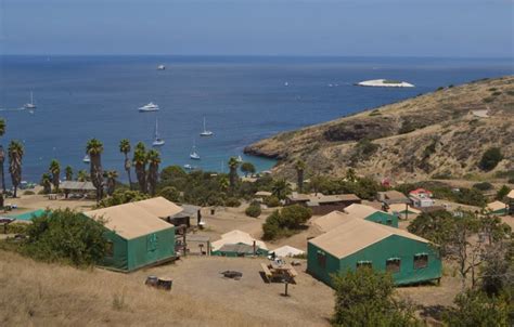 Campsite At Catalina Flavorverse