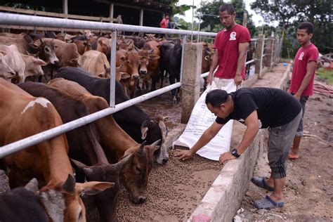Usaha melestarikan industri minyak sawit negara. Dasar Penggunaan PKC mampu lonjak industri ternakan negara ...