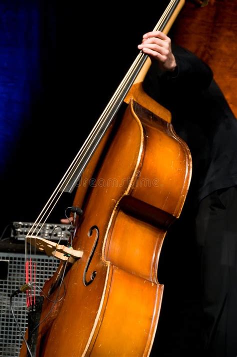 Acoustic Double Bass Player Stock Photo Image Of Melody Jazz 5054344
