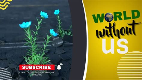 Earth Without Humans: Unraveling a 50-Year Mystery of Nature's