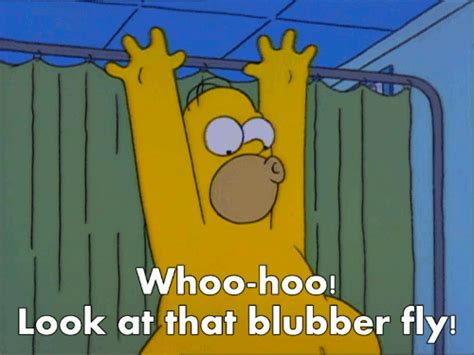 Jigglin Homer Simpson  Woohoo Album On Imgur The Simpsons Guy