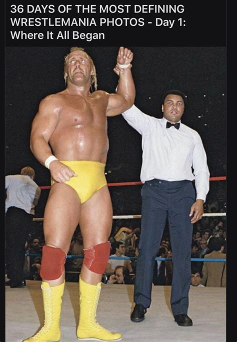 Pin By La Vista Johnowh On Hollywood Hulk Hogan In 2020 Hulk Hogan