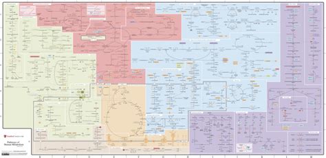 Metabolism Mind Map Sexiz Pix