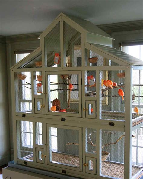 Meet All Of Marthas Pets Over The Years Diy Bird Cage Pet Bird Cage