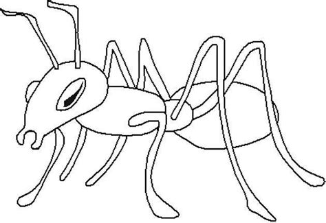Free Ant Template Or Coloring Page Ants Coloring And Templates