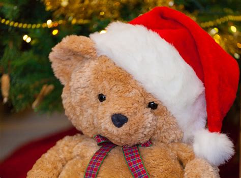 Christmas Teddy Bear Free Stock Photo Public Domain Pictures