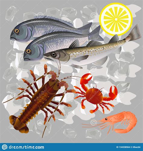 Seafood On Ice Stock Vector Illustration Of Advertising