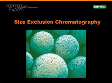 PPT Size Exclusion Chromatography PowerPoint Presentation ID 313614