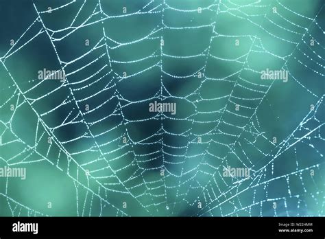 Cobweb Empty Hi Res Stock Photography And Images Alamy