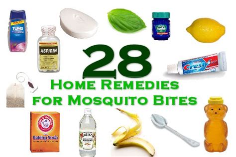 28 Home Remedies For Mosquito Bites Mothers Home