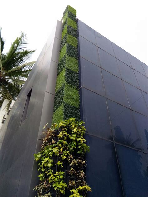 Living Green Walls India Should Look To Vertical Gardens To Combat