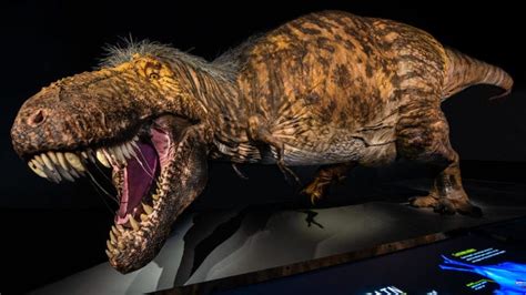 Worlds Most Scientifically Accurate T Rex Model Now On Display In New