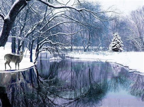 Free Download Winter Backgrounds Scenes 1024x768 For Your Desktop