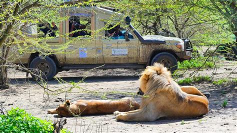 The Top 10 Best African Safari Wildlife Parks To Visi