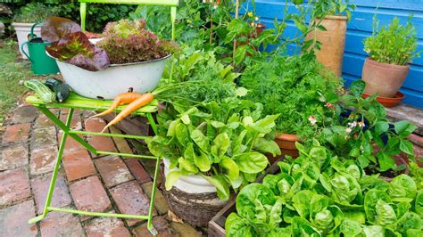 Growing Vegetables In Pots Everything You Need To Know Gardeningetc