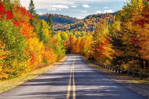 7 Routes To Drive For Spectacular Fall Colours Cottage Life