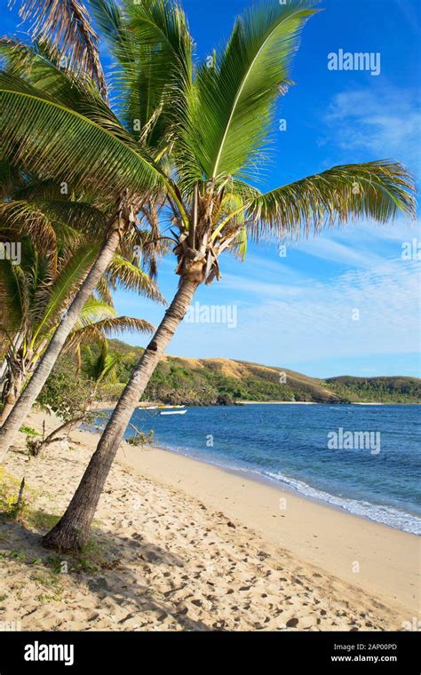 Beach On Waya Island Yasawa Islands Fiji Stock Photo Alamy