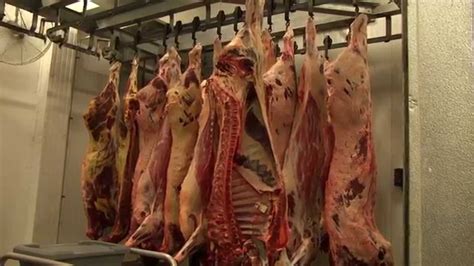 2018) done in south africa, which confirmed the hysteresis hypothesis. Starting Beef Cattle Fattening Farming Business in South ...