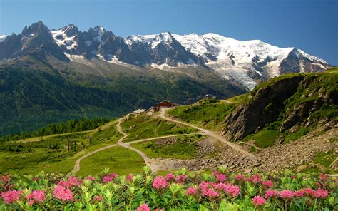 Mont Blanc Glacier Flowers Snow Mountain Lodge Time