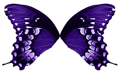 Butterfly Wings Light Purple By Fairyfindings On Deviantart
