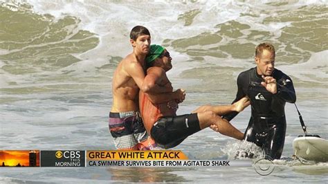 Teen Kayaker Attacked By Great White Shark Attacks Warning Graphic Images Pictures Cbs News