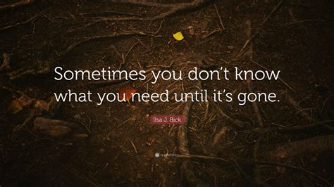 Ilsa J Bick Quote Sometimes You Dont Know What You Need Until Its
