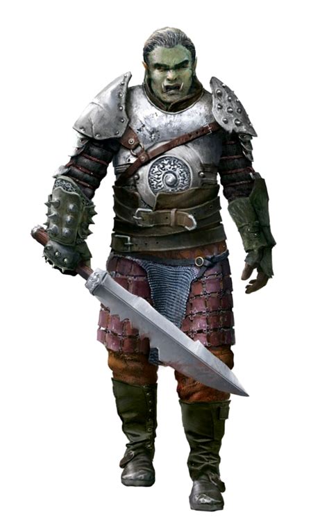 Male Half Orc Fighter Thug Rogue Pathfinder Pfrpg Dnd Dandd 35 5e 5th