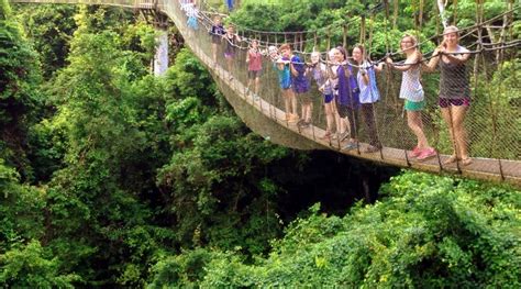 As you walk, the bridge shakes and wobbles, and at times leans completely to one side, making you feel as though it was flip you right over the edge to your death. A Tour through the Canopy Walkway of Kakum National Park ...