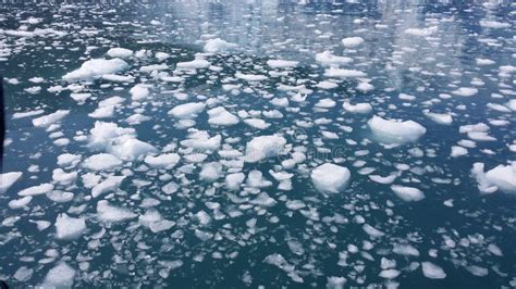 Glacial Ice Floating In Alaska Stock Photo Image Of Scene Viewpoint