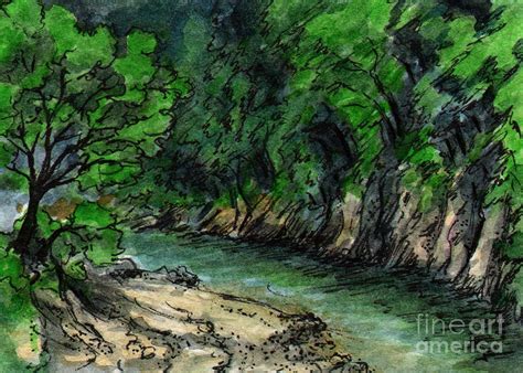 Ac125 Forest River Painting By Kirohan Art Fine Art America