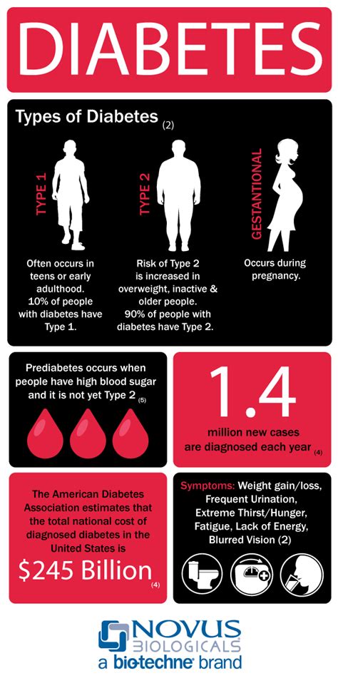 Diabetes Infographic Novus Biologicals