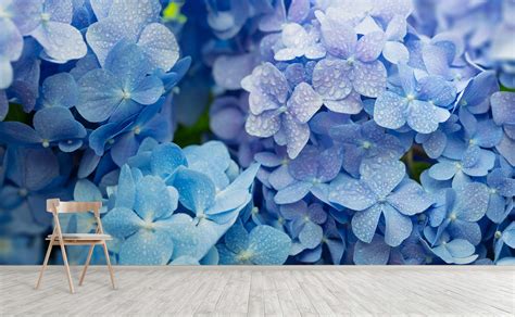 Blue Hydrangea Hortensia Flower High Definition Wall Mural Secret Garden