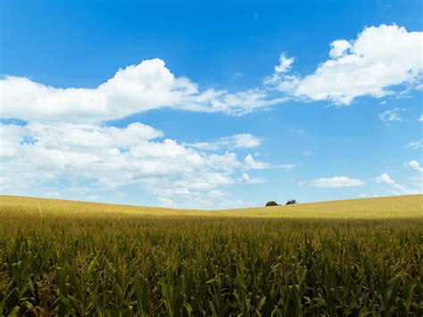 Download 2048x1536 Cropland Agriculture Field Clouds Sky Rural